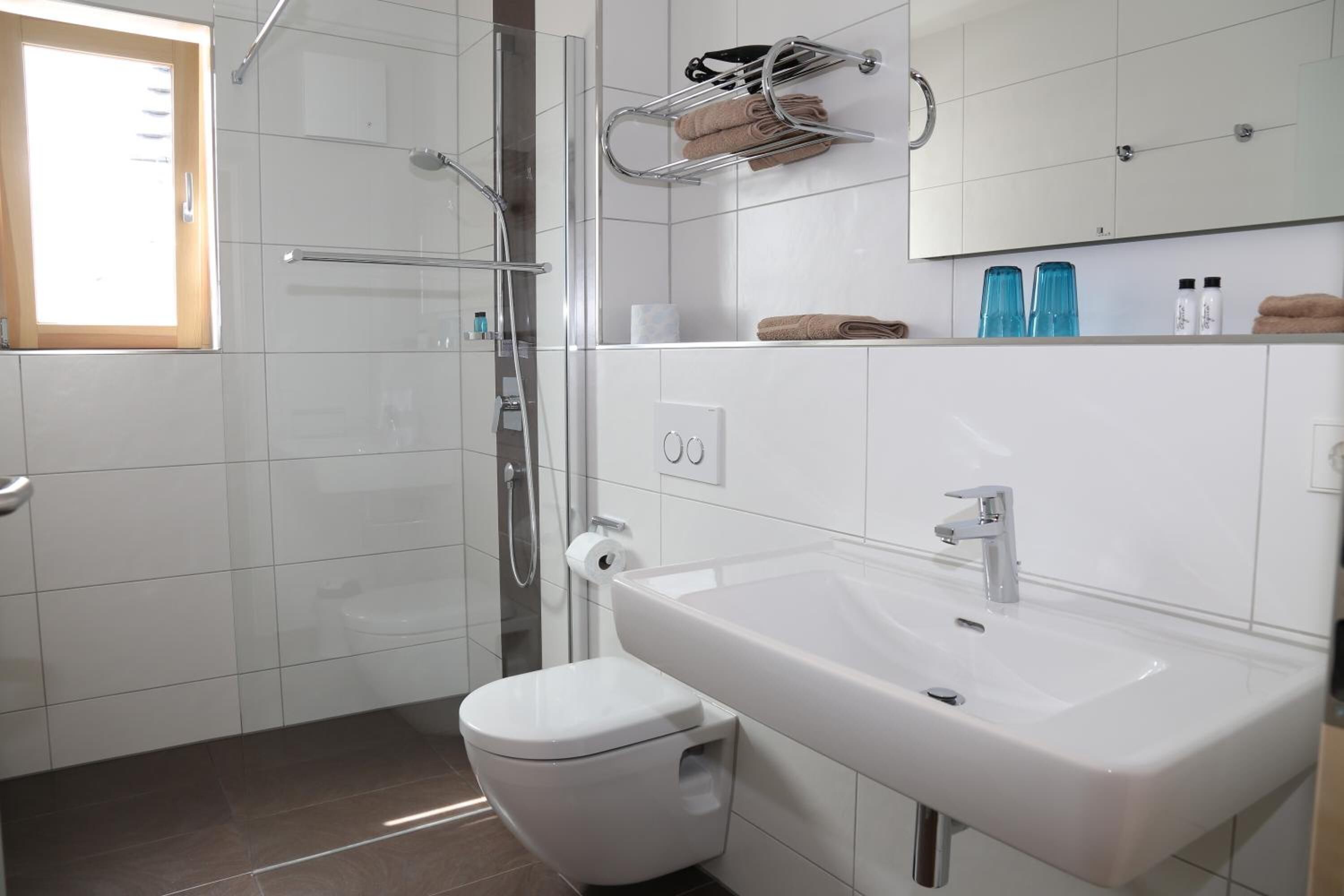 shower, free toiletries, hair dryer, towels