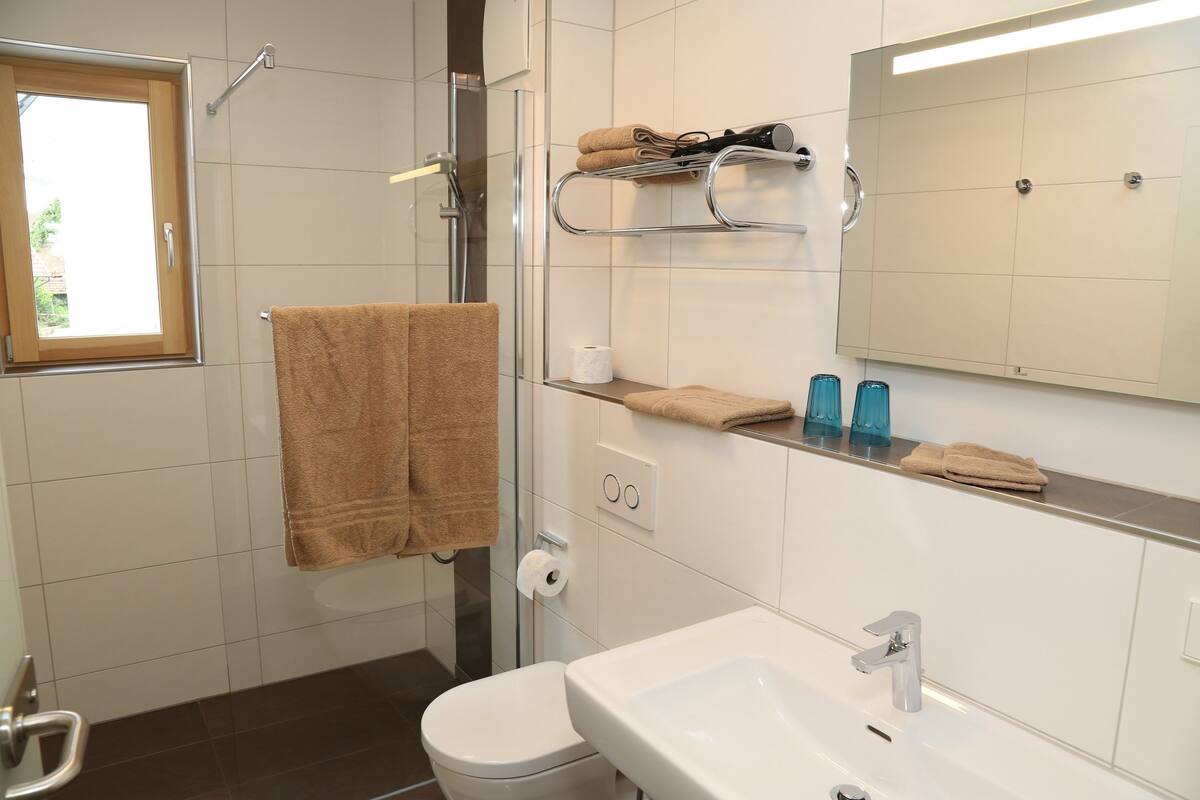 Shower, free toiletries, hair dryer, towels
