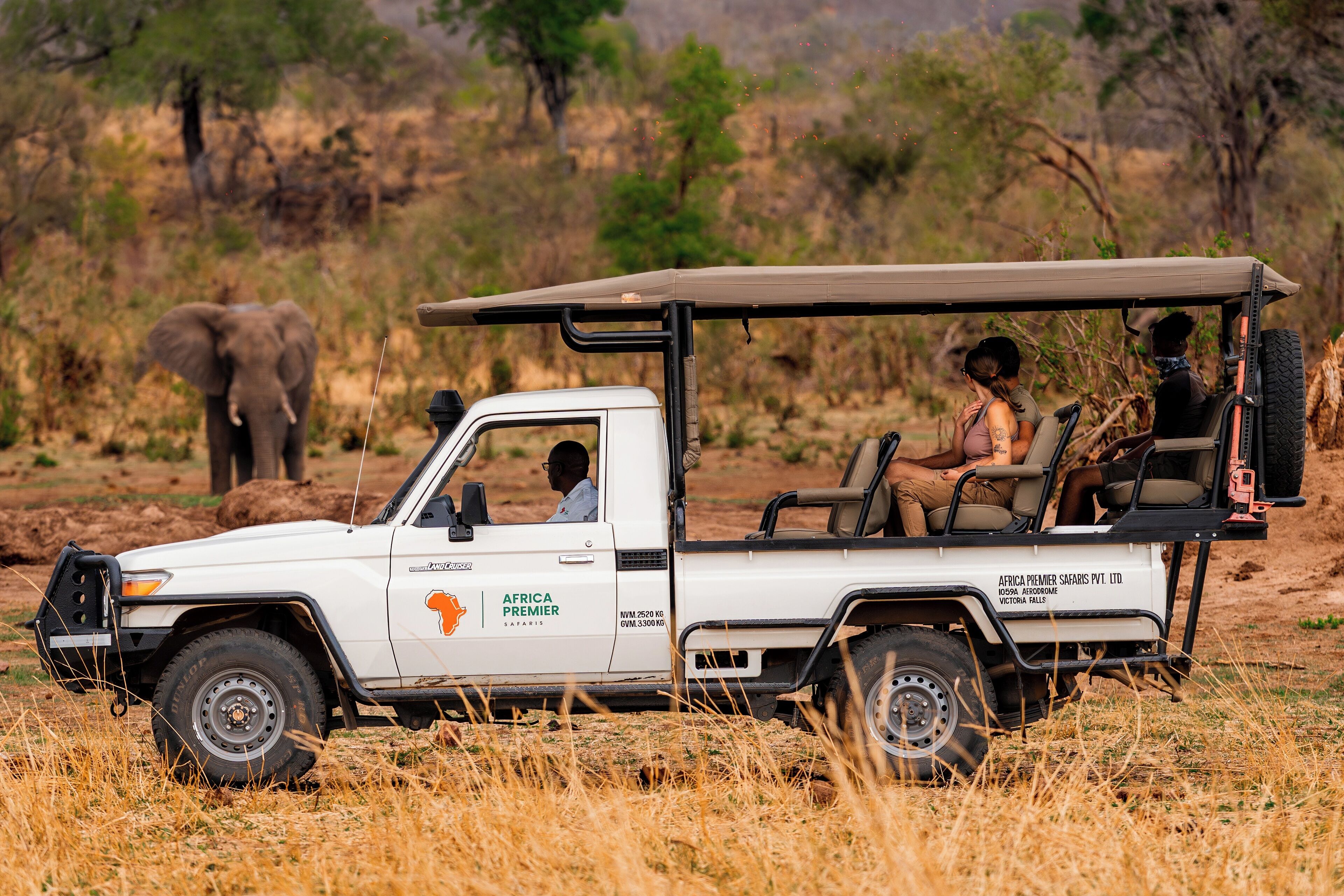 Een safarivoertuig met een dak, voorzien van een reserveband en een lier, geparkeerd in een grasrijke omgeving met een olifant op de achtergrond.