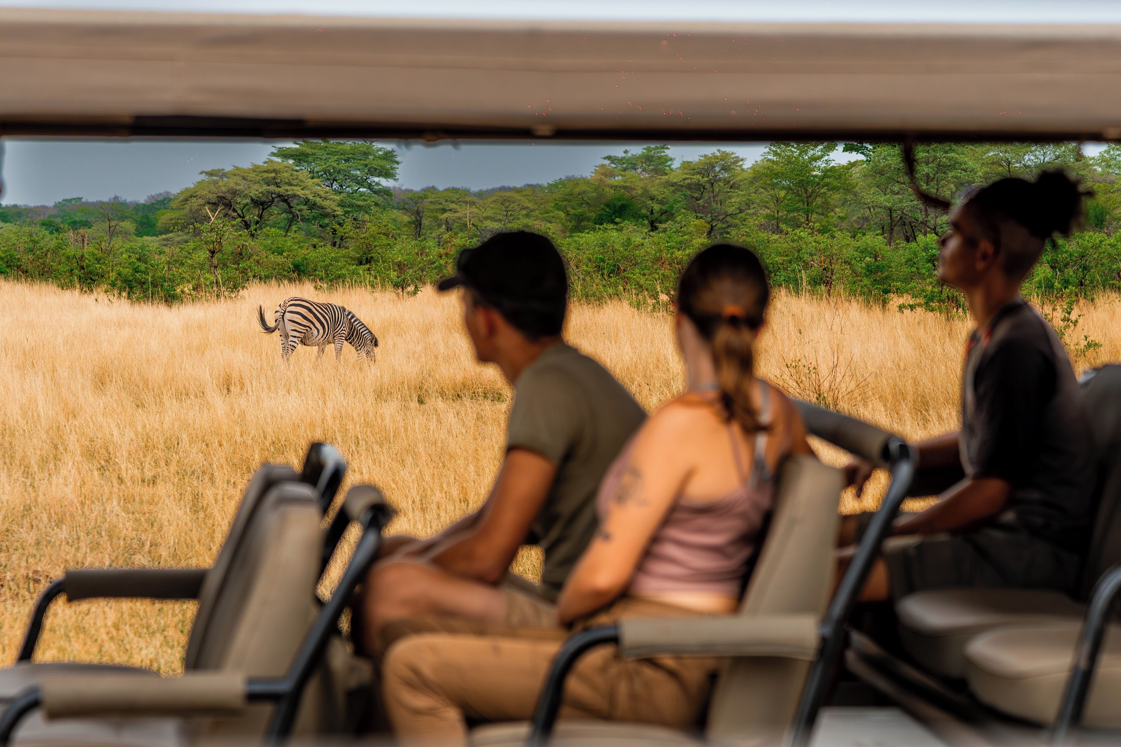 Een safarivoertuig met passagiers die dieren in het wild bekijken.