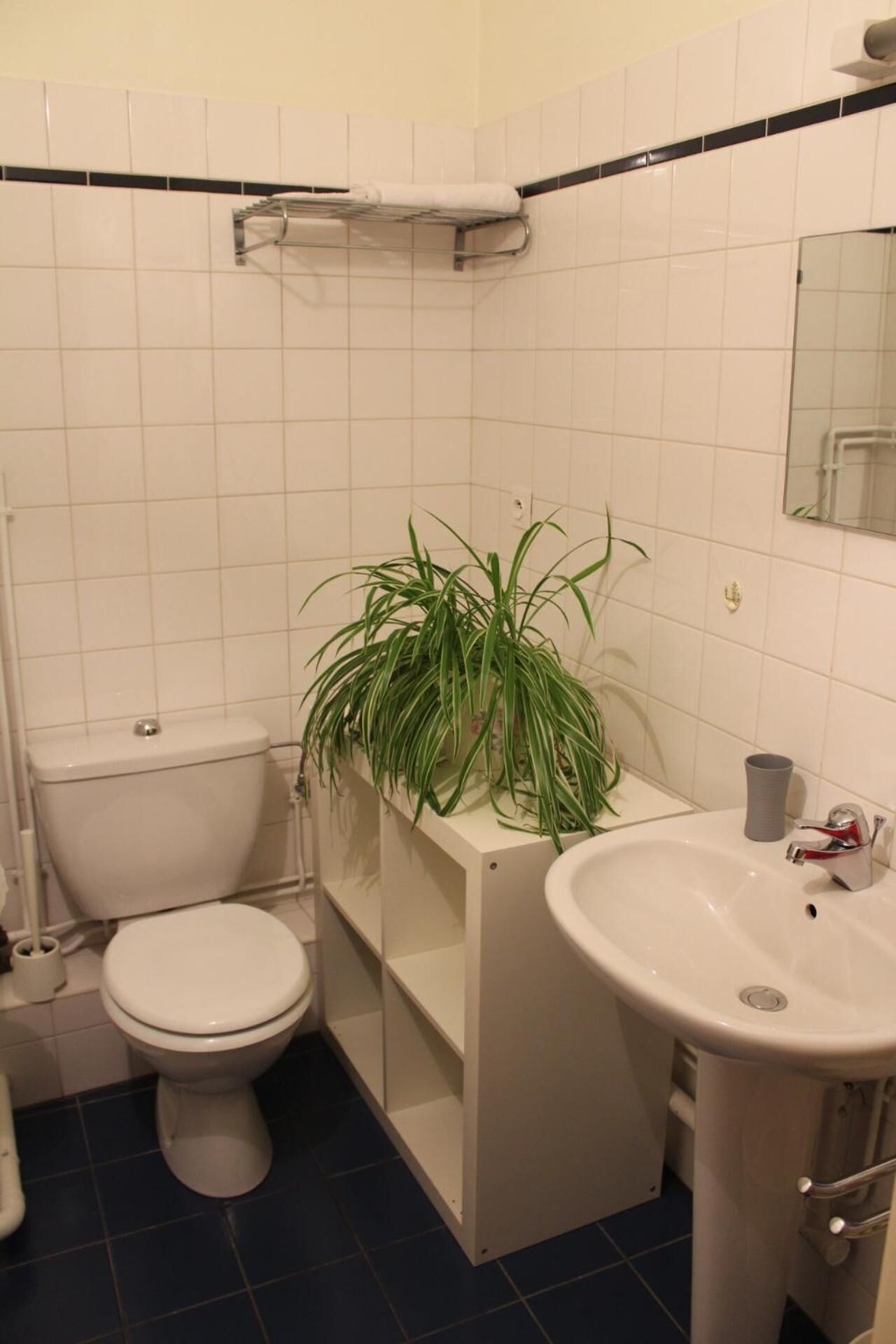 Ein kleines Badezimmer mit Toilette, Waschbecken und einer Topfpflanze.