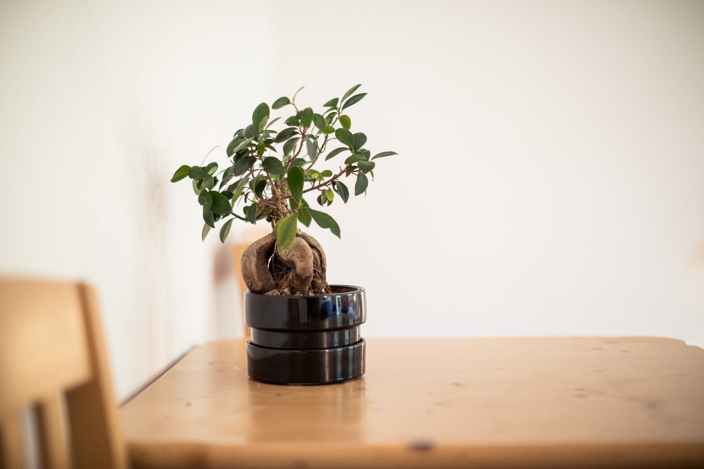 basic double room, 1 bedroom | room amenity