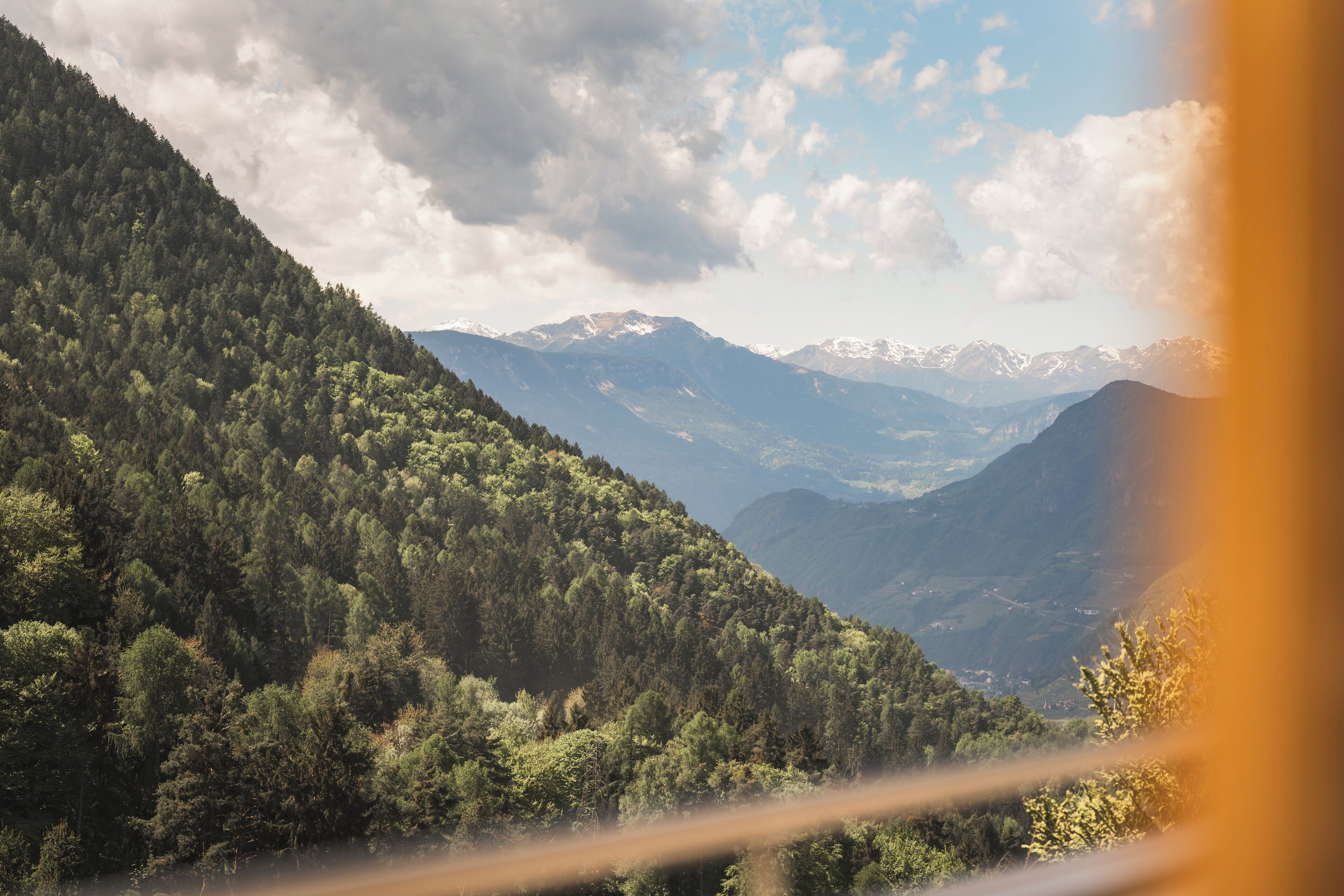 A mountainous landscape with dense forest, a clear sky, and distant snow-capped peaks.