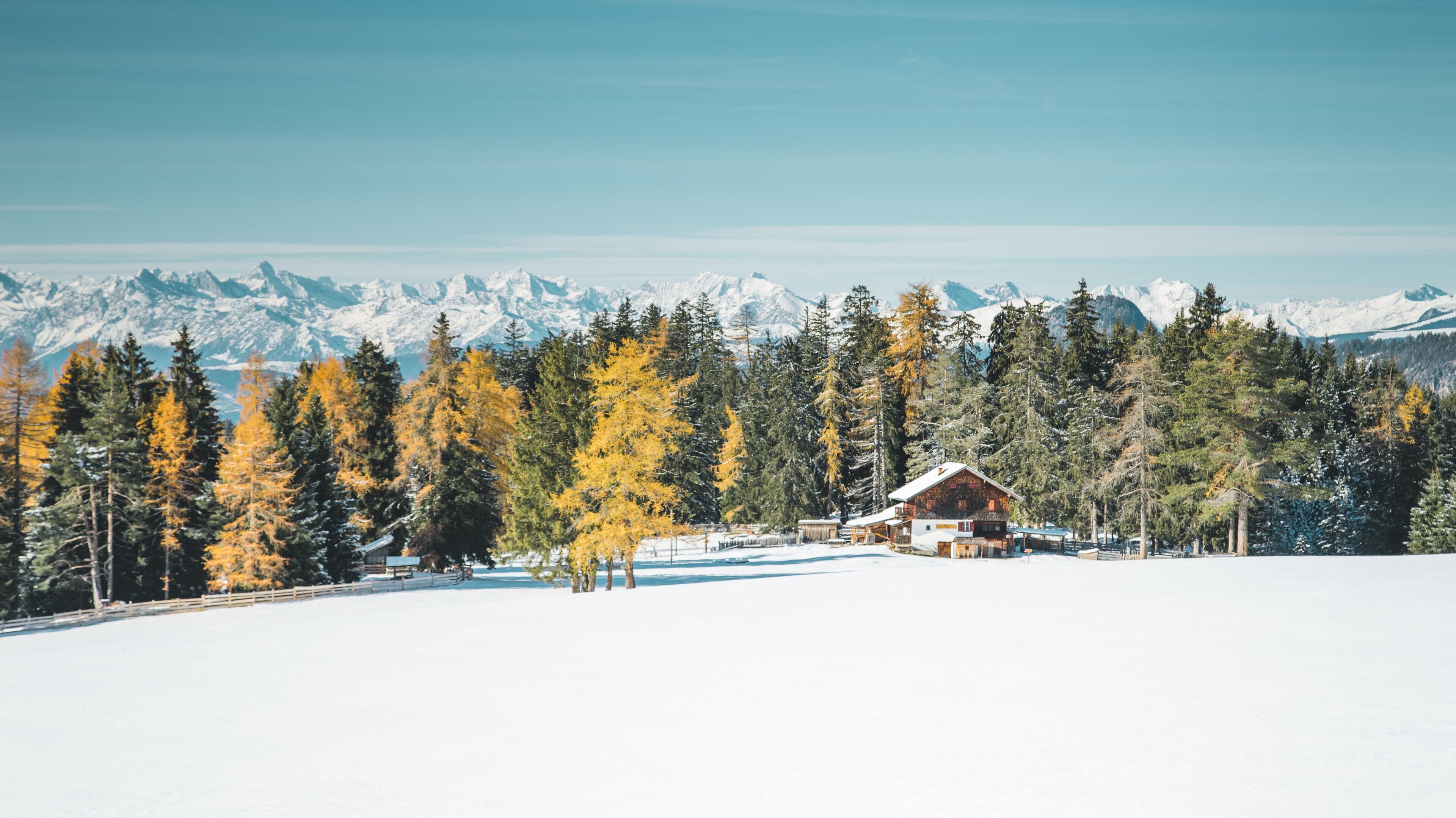A cabin in a snowy forest with a mountain backdrop.