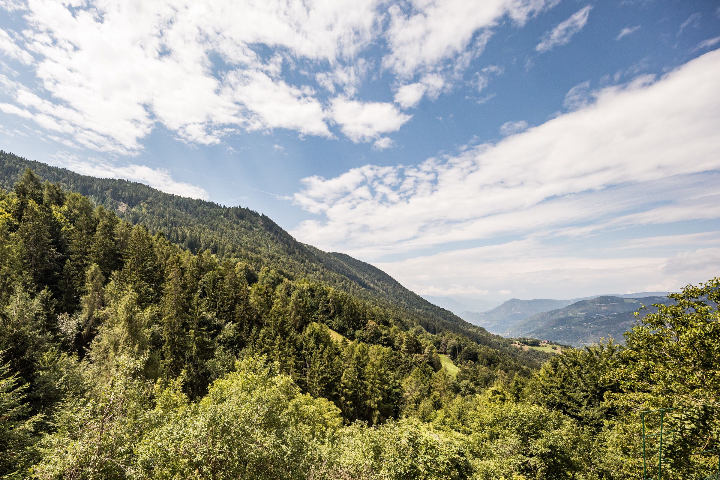 comfort apartment | mountain view