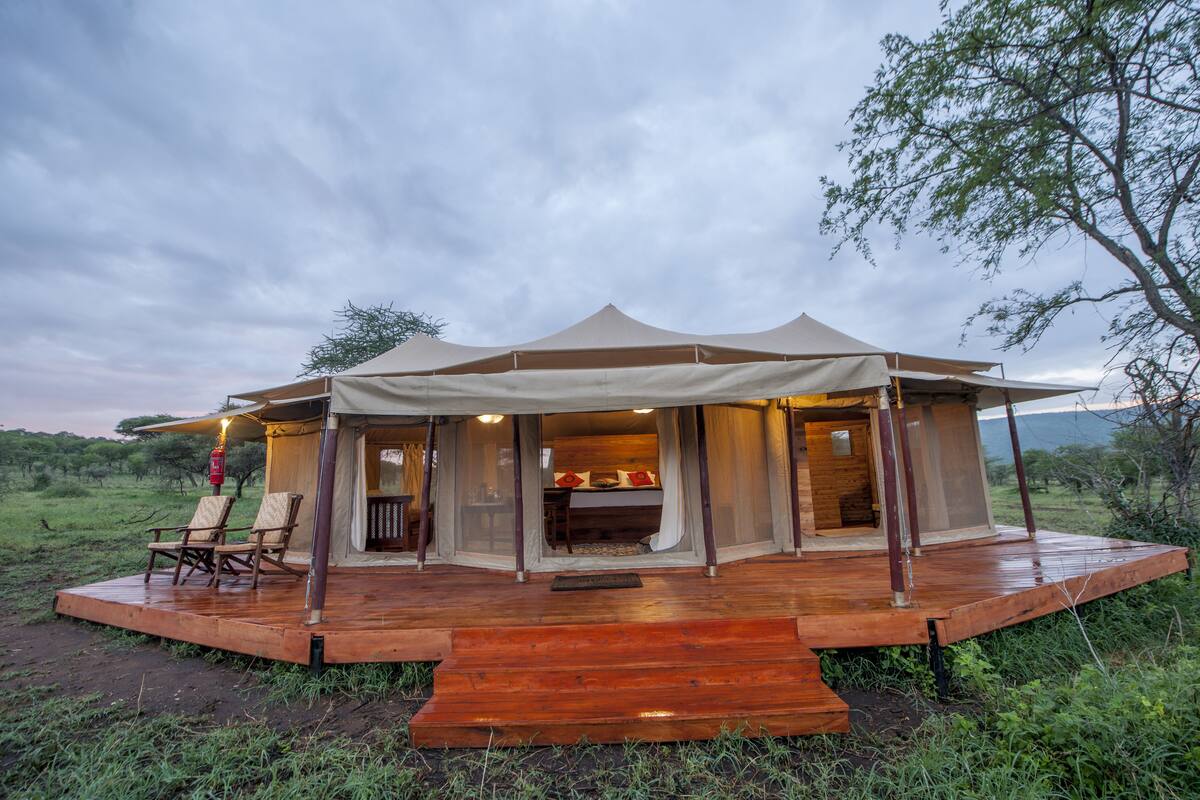 Luxury Tent | View from room