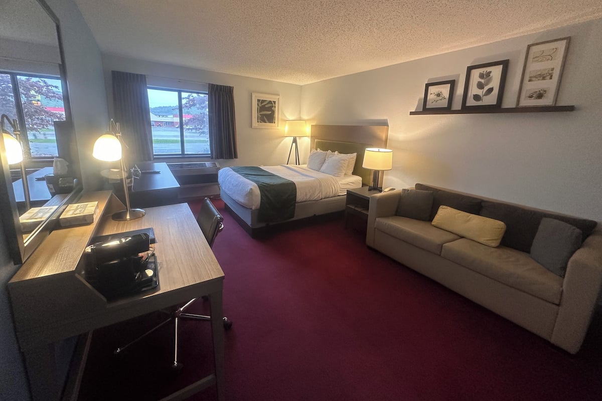 A hotel room with a bed, a desk, a chair, a sofa, a lamp, and a window with a view of a building and trees.