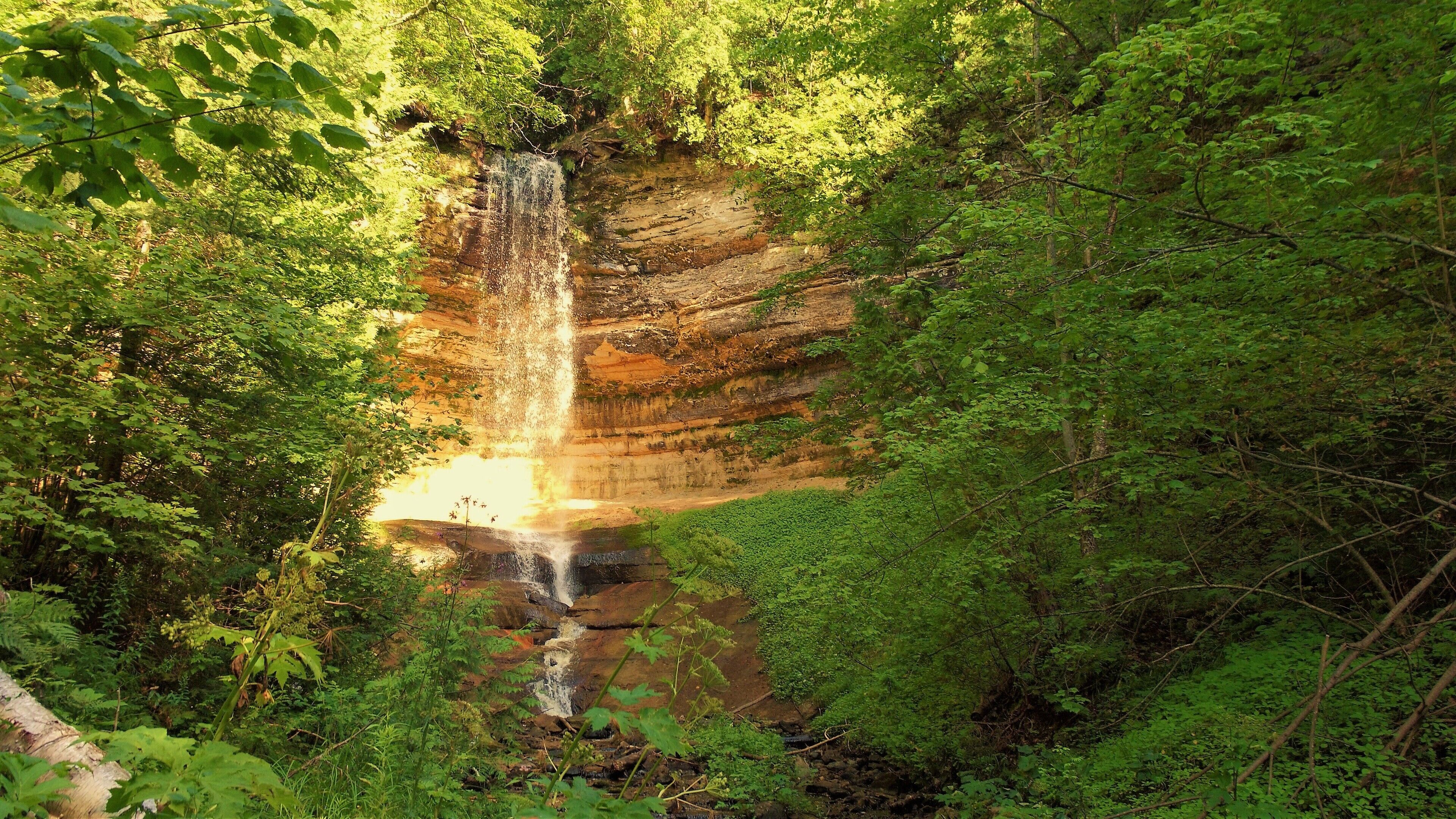 Ein Wasserfall stürzt über eine steile, felsige Klippe, umgeben von dichtem Grünwerk.