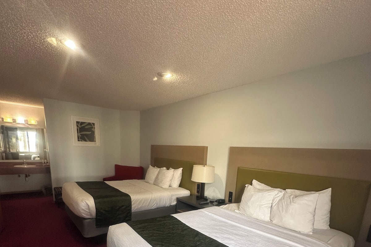 A hotel room with two beds, a red carpet, a small desk with a lamp, and a framed picture on the wall.
