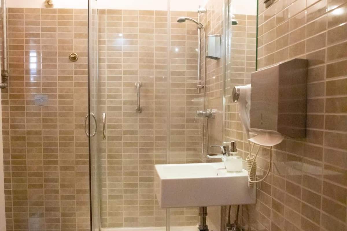 shower, free toiletries, hair dryer, towels