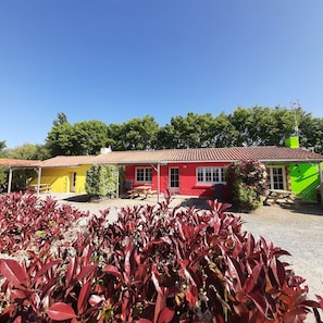 Ferienhaus (6 Persons) | Blick auf den Garten