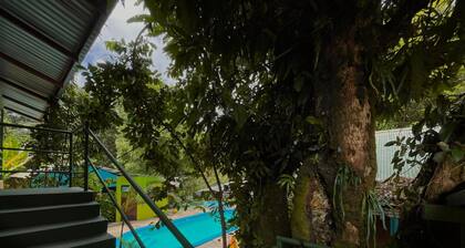 Los Amigos Jungle Hotel Tortuguero