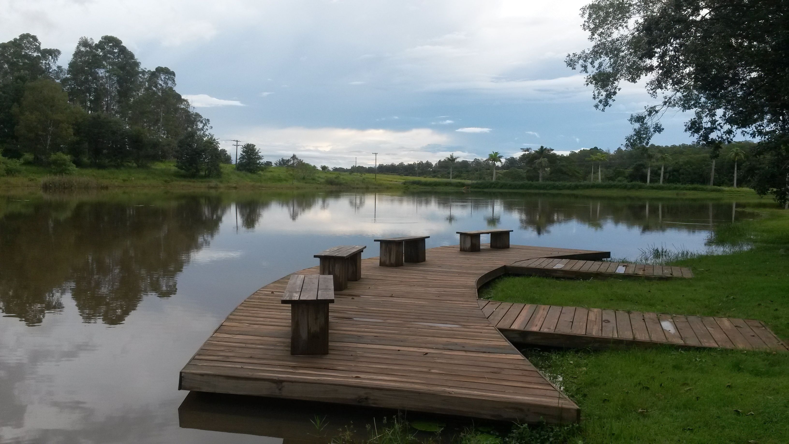 A wooden dock with benches extending over a calm lake, surrounded by greenery and trees.