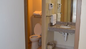 Un baño con inodoro, lavabo y espejo.