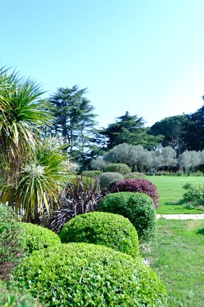 A well-maintained garden with various types of shrubs and trees.