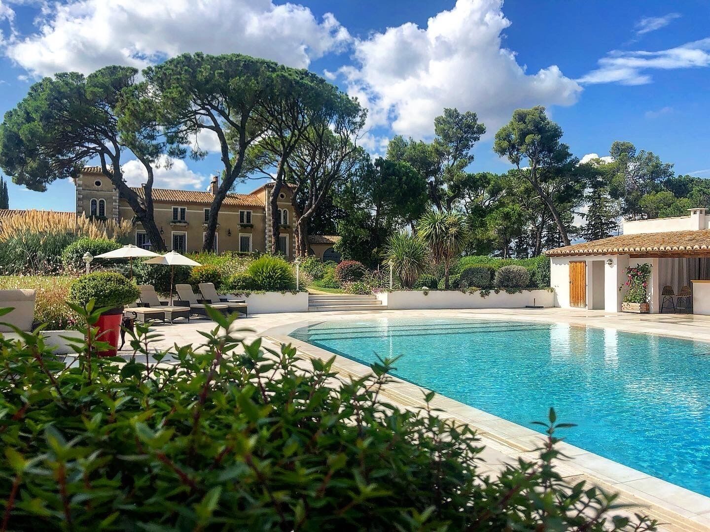 Outdoor pool, sun loungers
