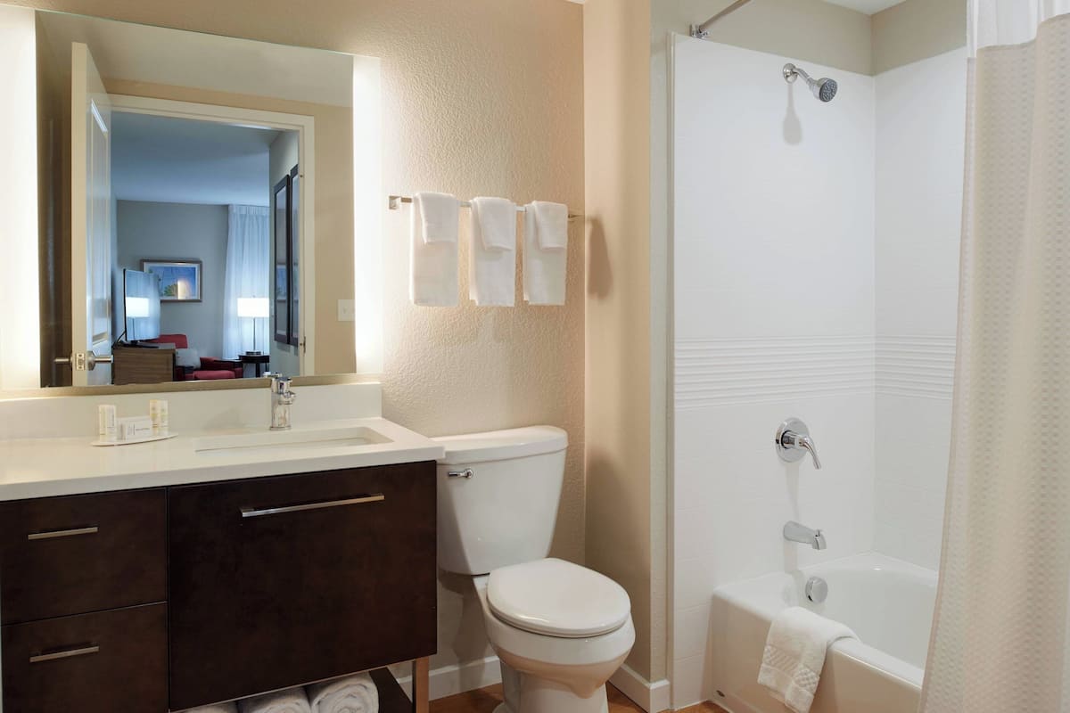 combined shower/bathtub, free toiletries, hair dryer, towels