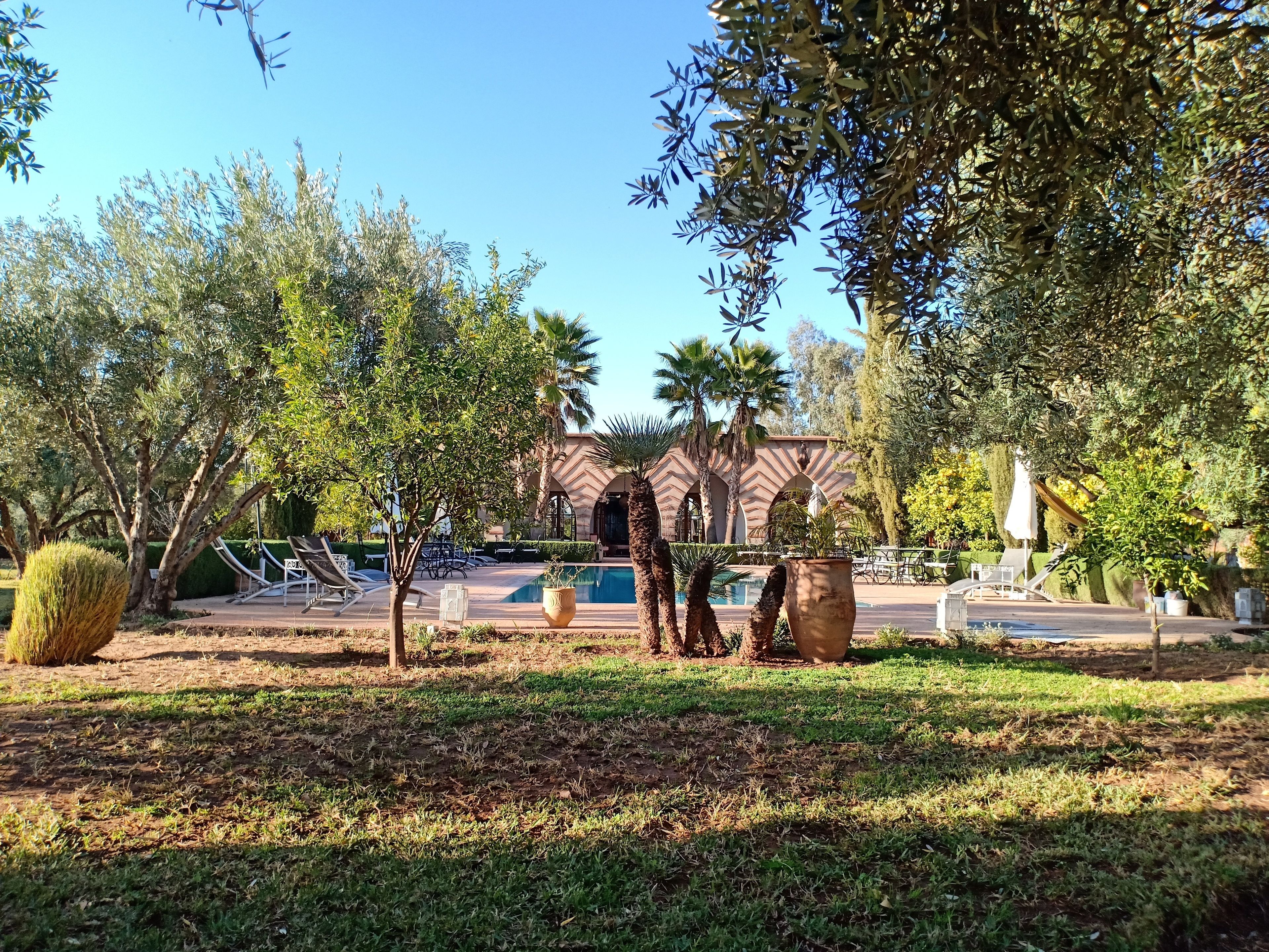 A pool area with lounge chairs, a palm tree, and a building with arches in the background.
