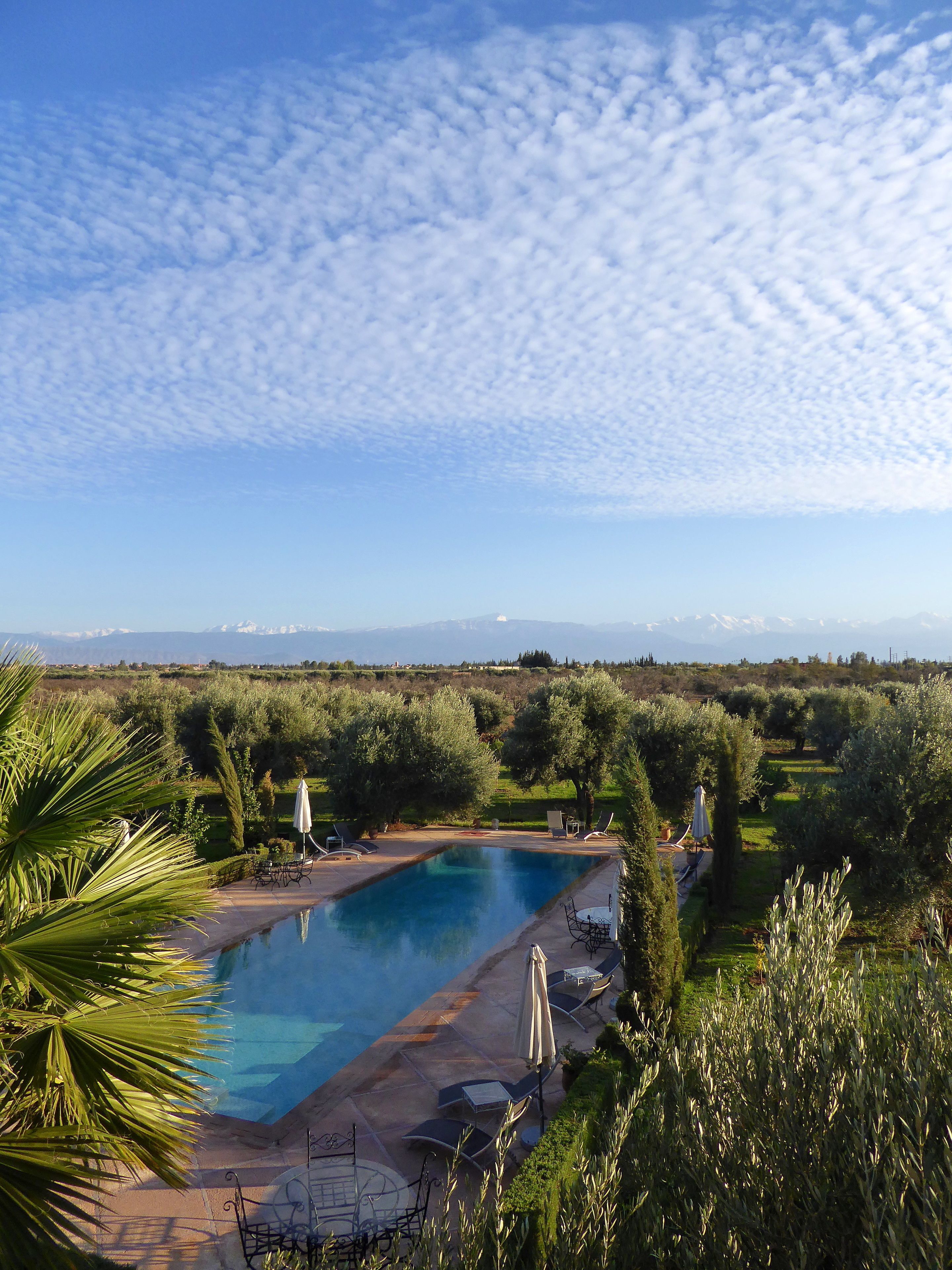 A pool area with lounge chairs and umbrellas, surrounded by greenery and olive trees, with a view of distant mountains.