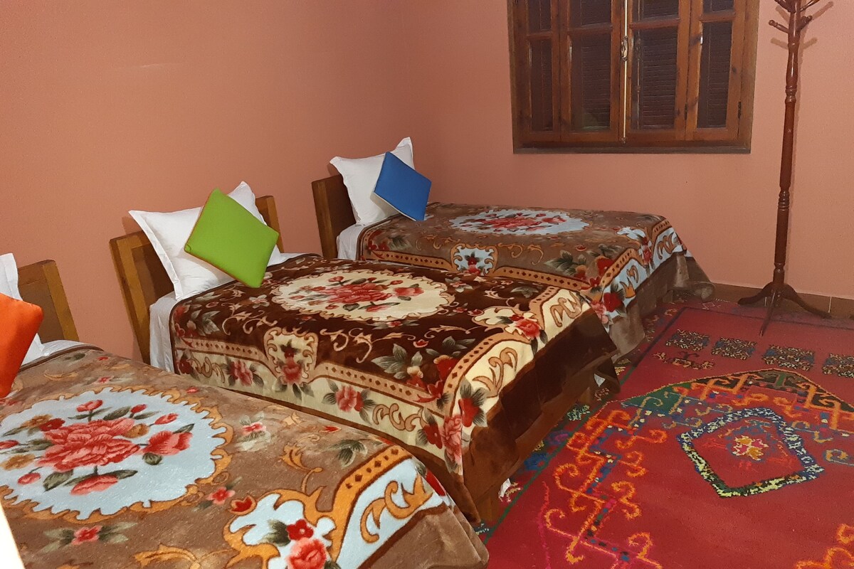 C4 : Chambre avec 3 lits une place et salle de bain commune | Bộ đồ giường cao cấp, nệm Select Comfort, bàn ủi/dụng cụ ủi quần áo 