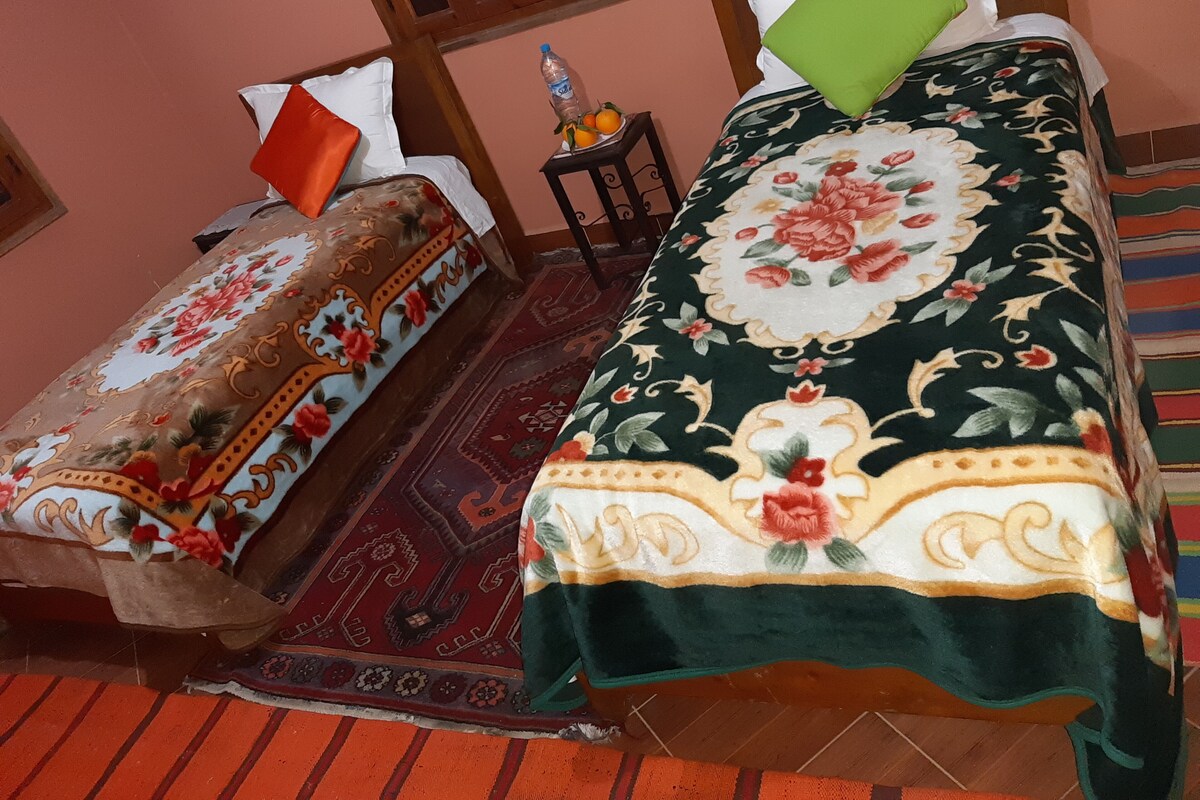 C3 : Chambre avec 2 lits une place et salle de bain commune | Bộ đồ giường cao cấp, nệm Select Comfort, bàn ủi/dụng cụ ủi quần áo 