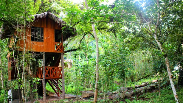 A treehouse with a wooden deck and a thatched roof, surrounded by dense forest. - Santval (Cumanda)