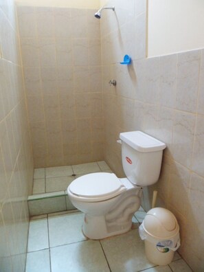 Panoramic Room, City View | Bathroom | Shower, free toiletries, towels
