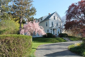 View from property - Beech Tree Bed and Breakfast (Rockport)