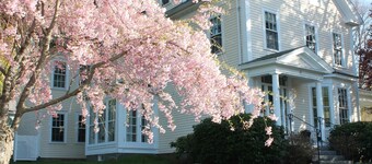 Beech Tree Bed and Breakfast