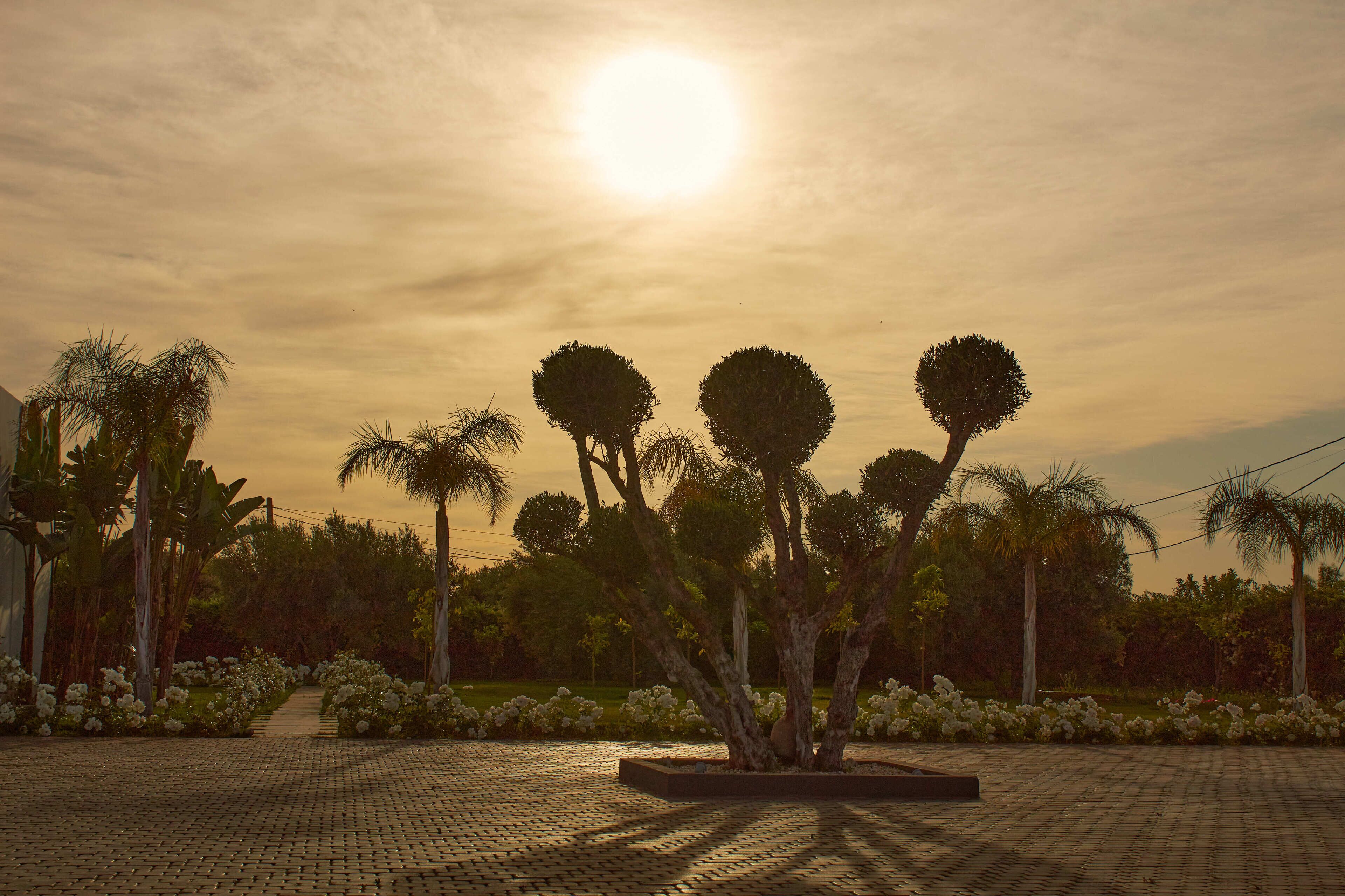 Photo - Villa Jardins D'Isa