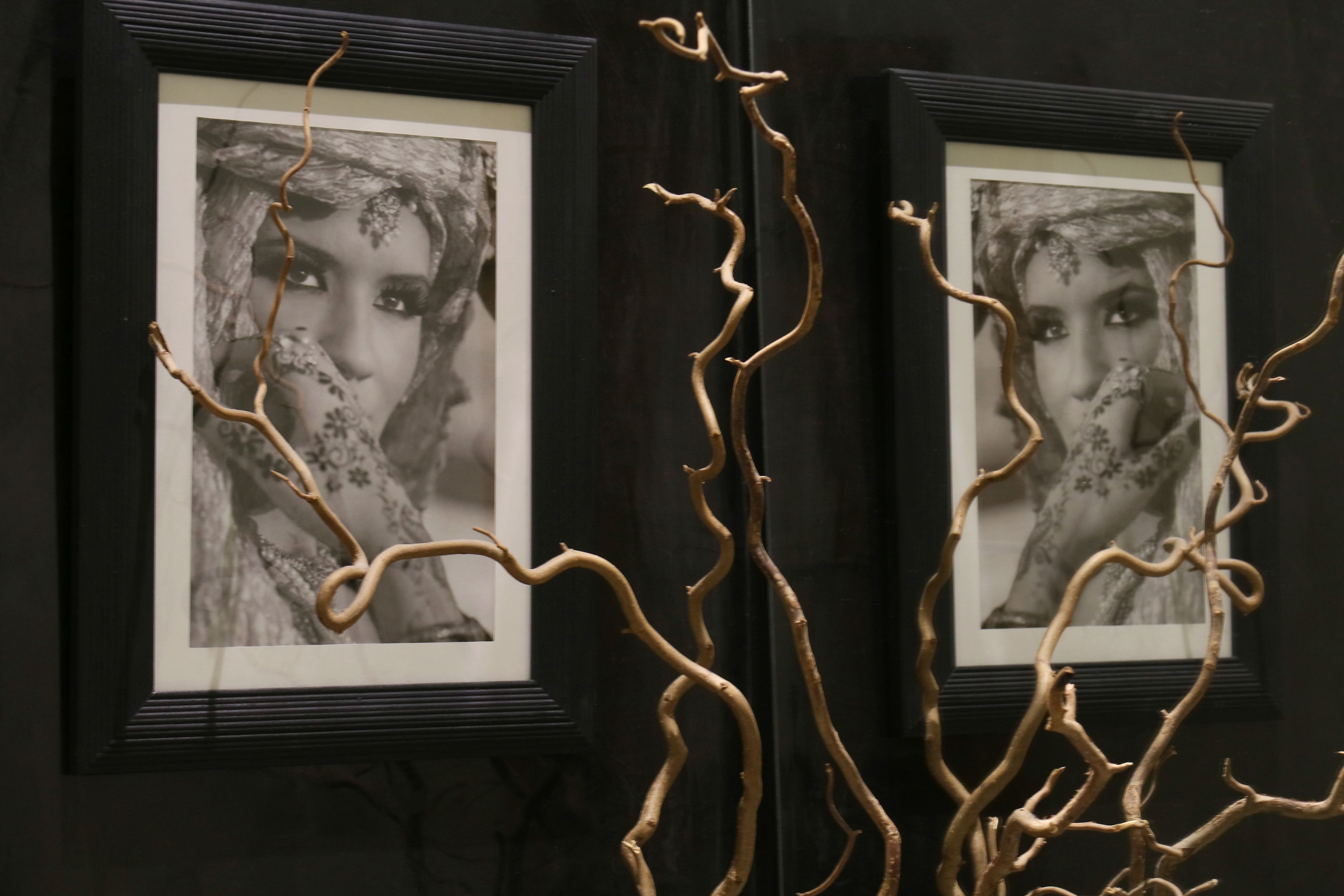 Two framed black and white photographs with a decorative branch in the foreground.