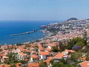 A coastal cityscape with a prominent pier extending into the sea, surrounded by densely packed buildings with red-tiled roofs. - Murteiras Apartment (Funchal)