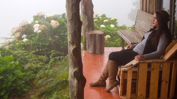 A woman sitting on a wooden bench in a lush garden with ferns and white flowers. - Lagunillas del Poas (San Juan)