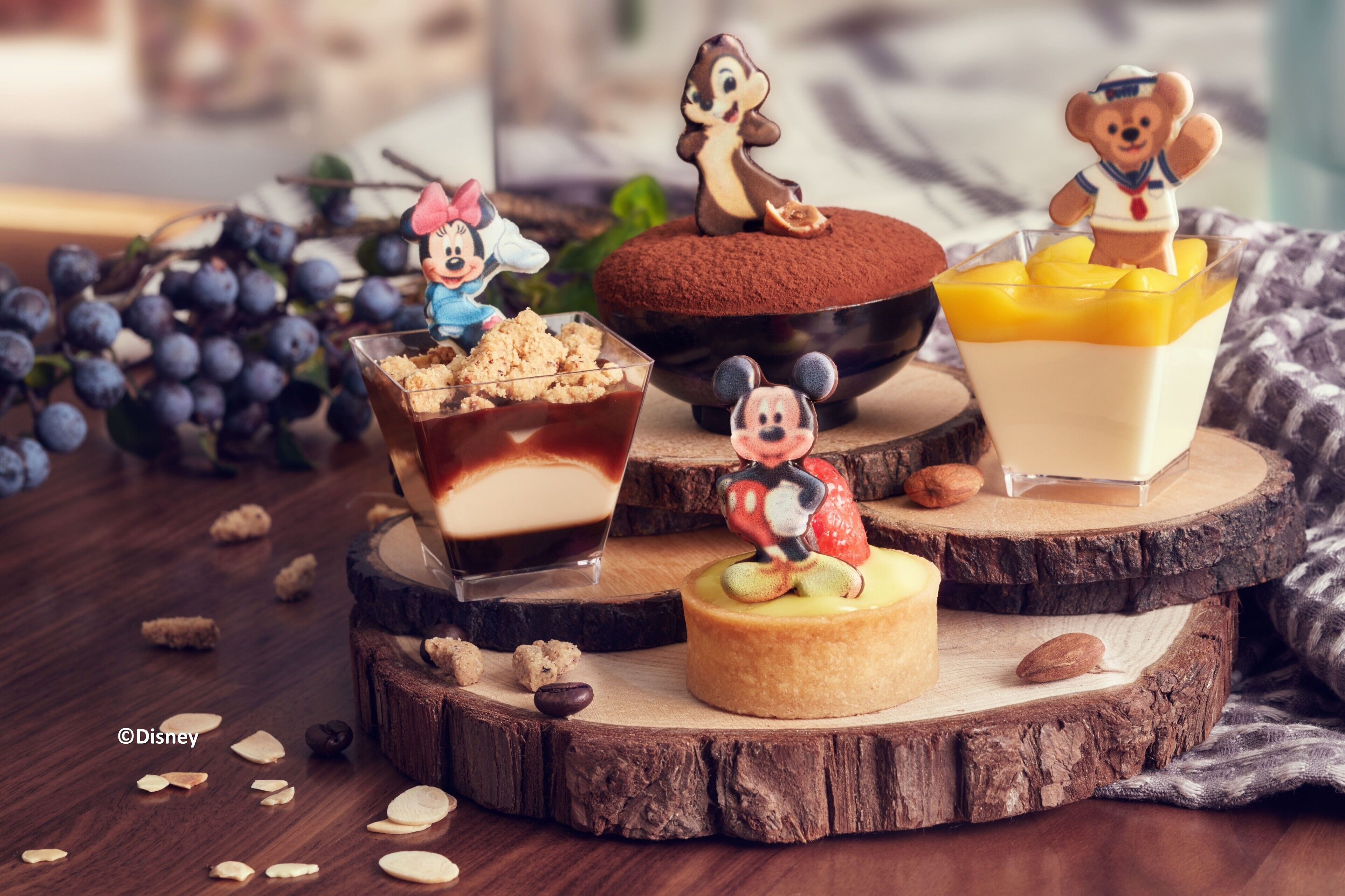 Foto - Disney Explorers Lodge