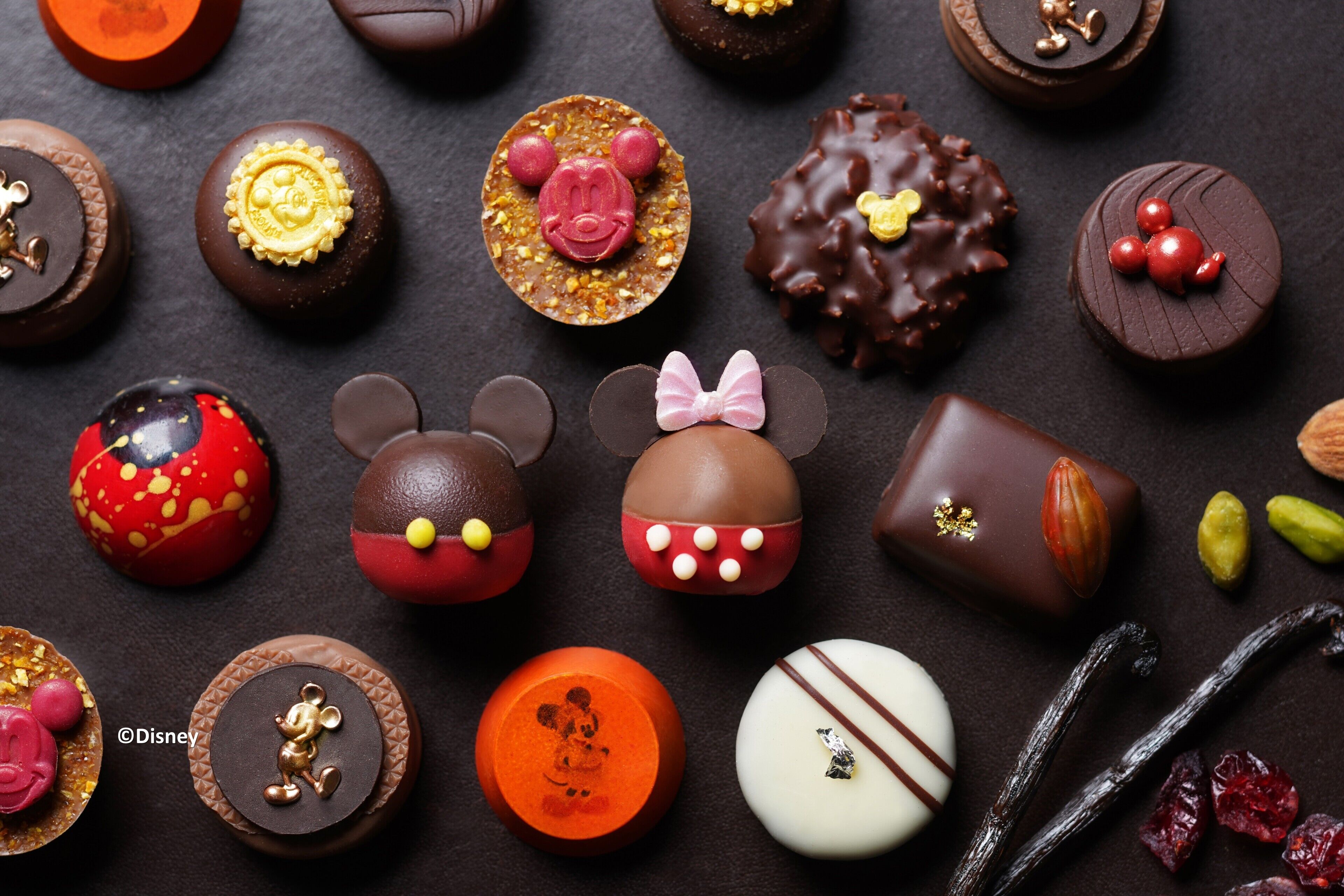 Photo - Disney Explorers Lodge