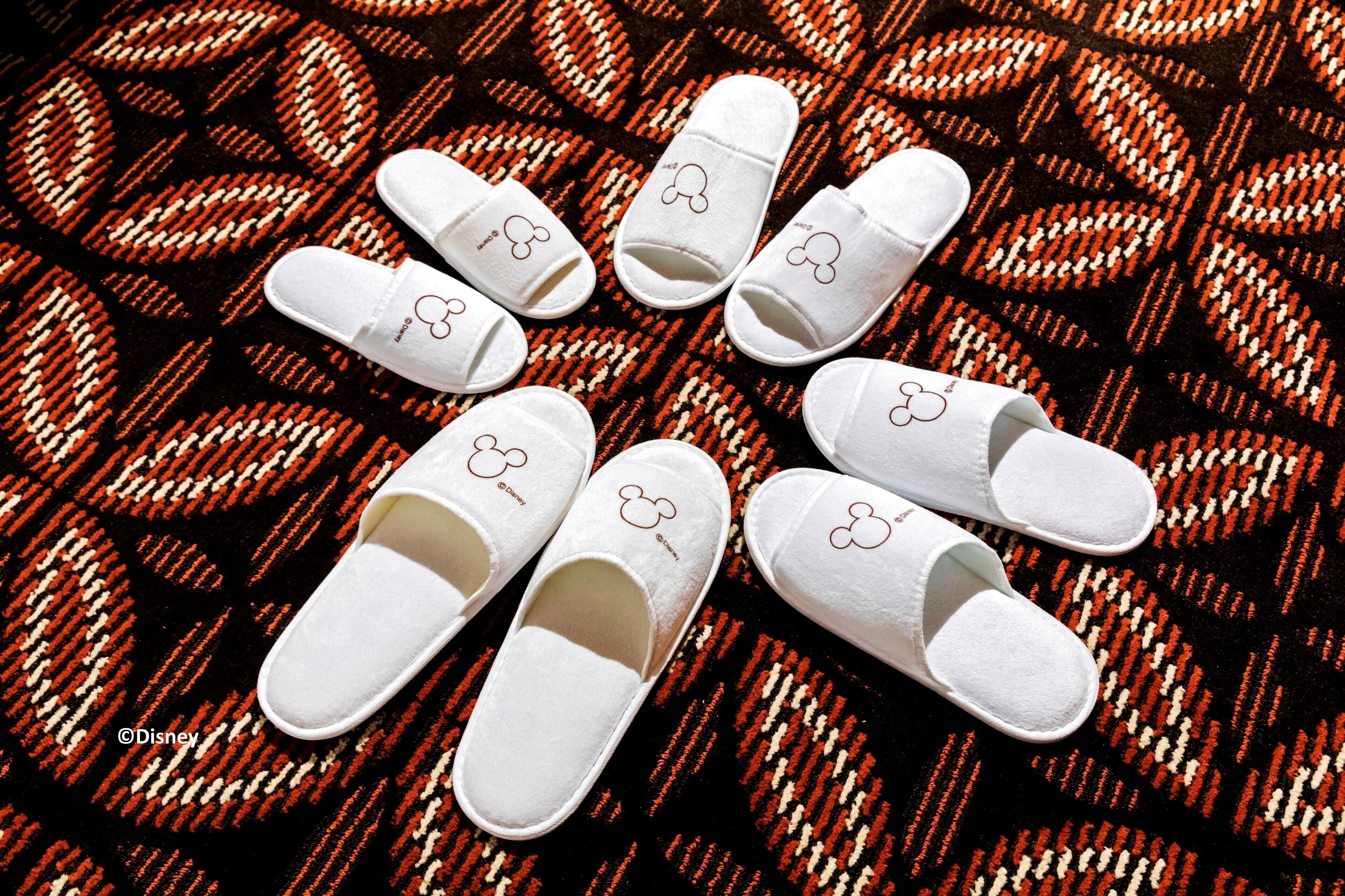 Photo - Disney Explorers Lodge