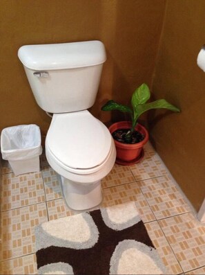 Regadera, amenidades de baño gratuitas, toallas 