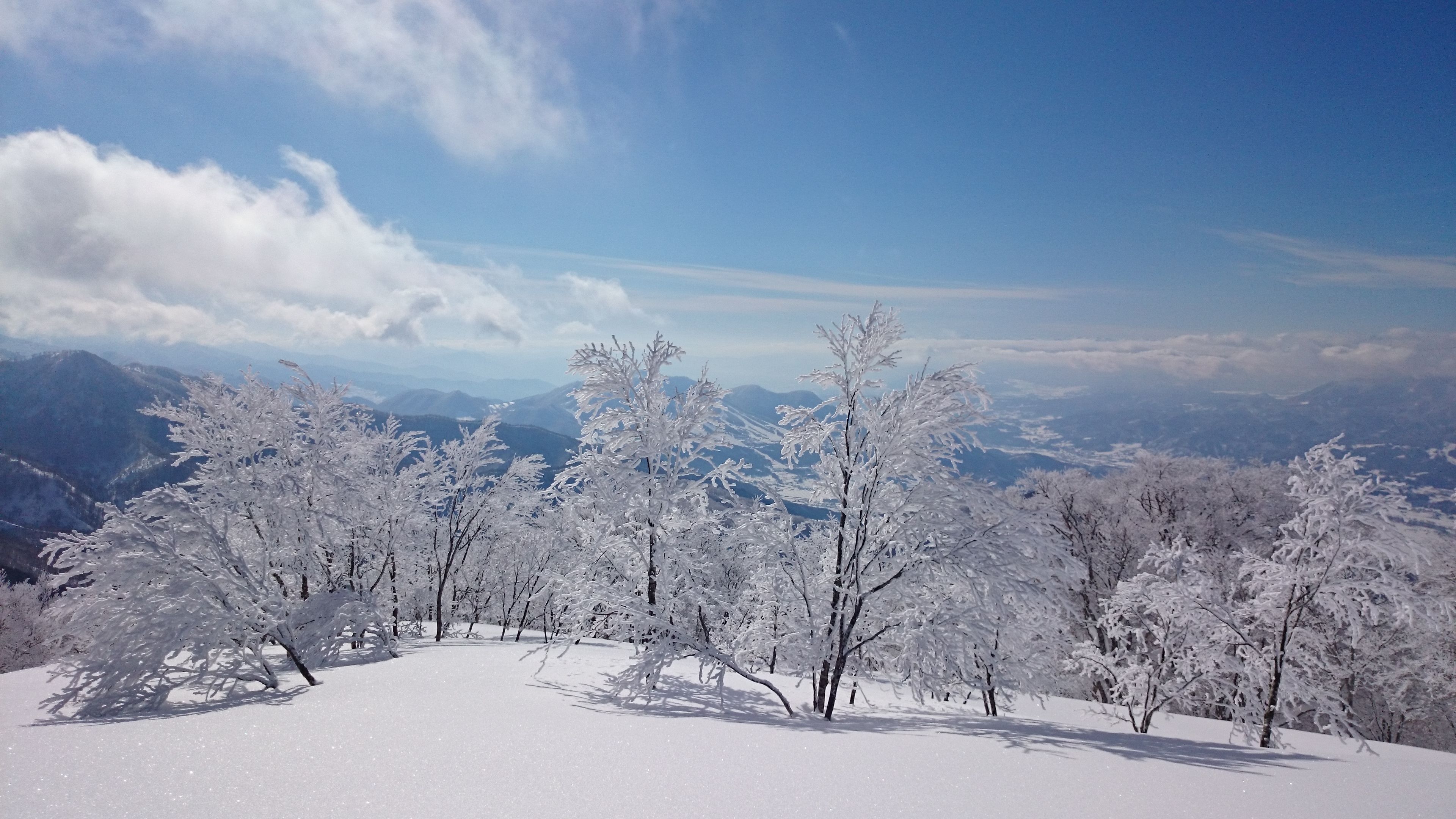 A snow-covered landscape with trees and distant mountains under a clear sky.
