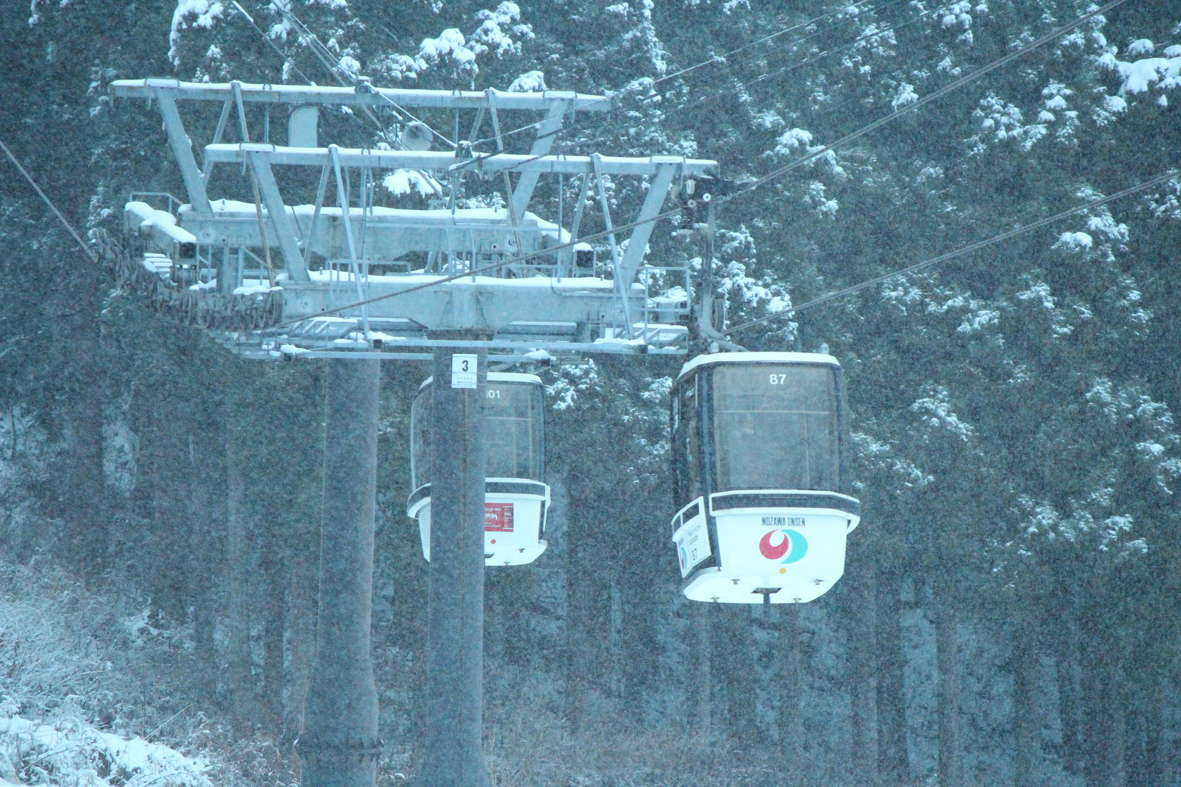 A cable car system in a snowy forest.
