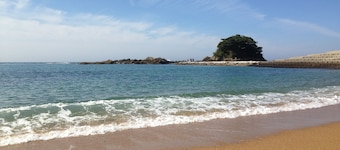 Shima-kirakusou
