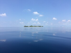 Ngoại thất
