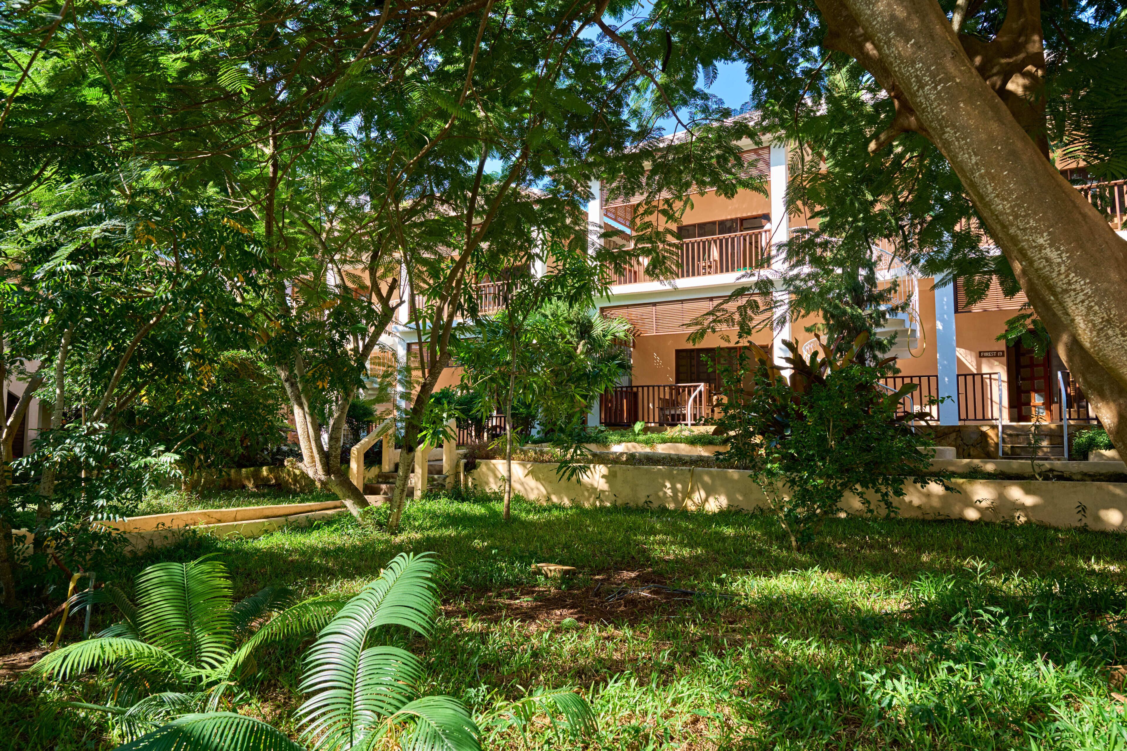 Un exuberante jardín con diversos árboles y plantas, un sendero pavimentado y un edificio con múltiples balcones y ventanas.