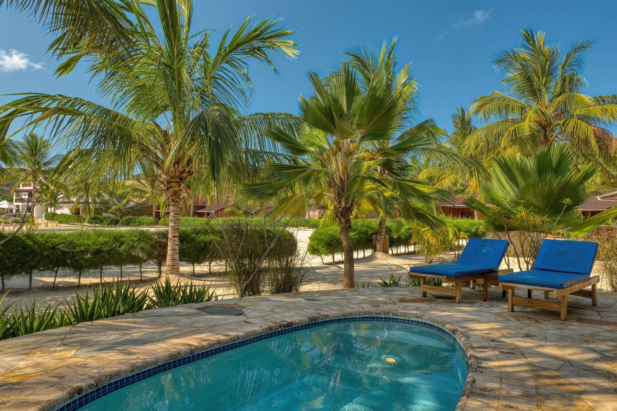 Una piscina con sillas de descanso y palmeras.