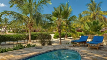 Una piscina con sillas de descanso y palmeras.
