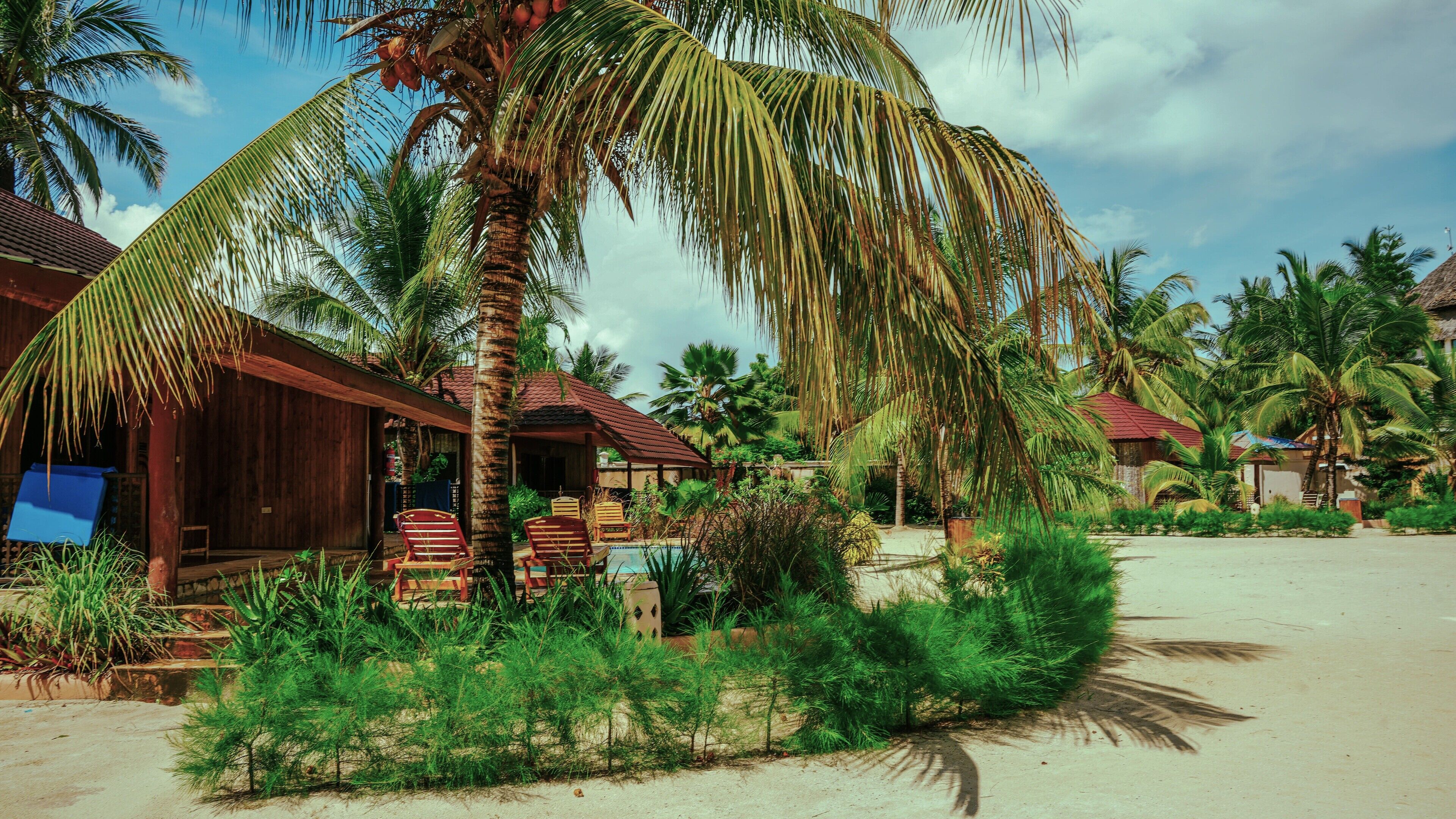 Pool Bungalow | View from room