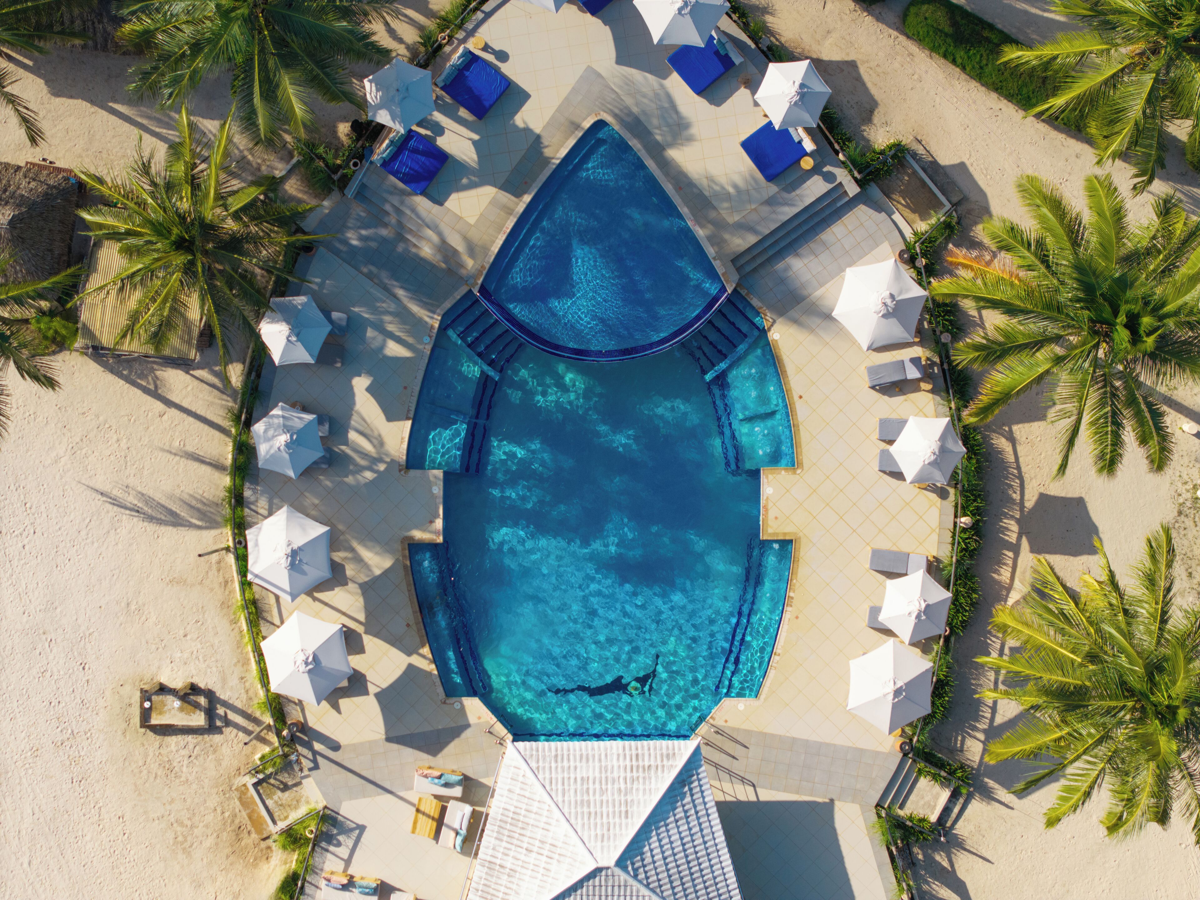 Outdoor pool, sun loungers