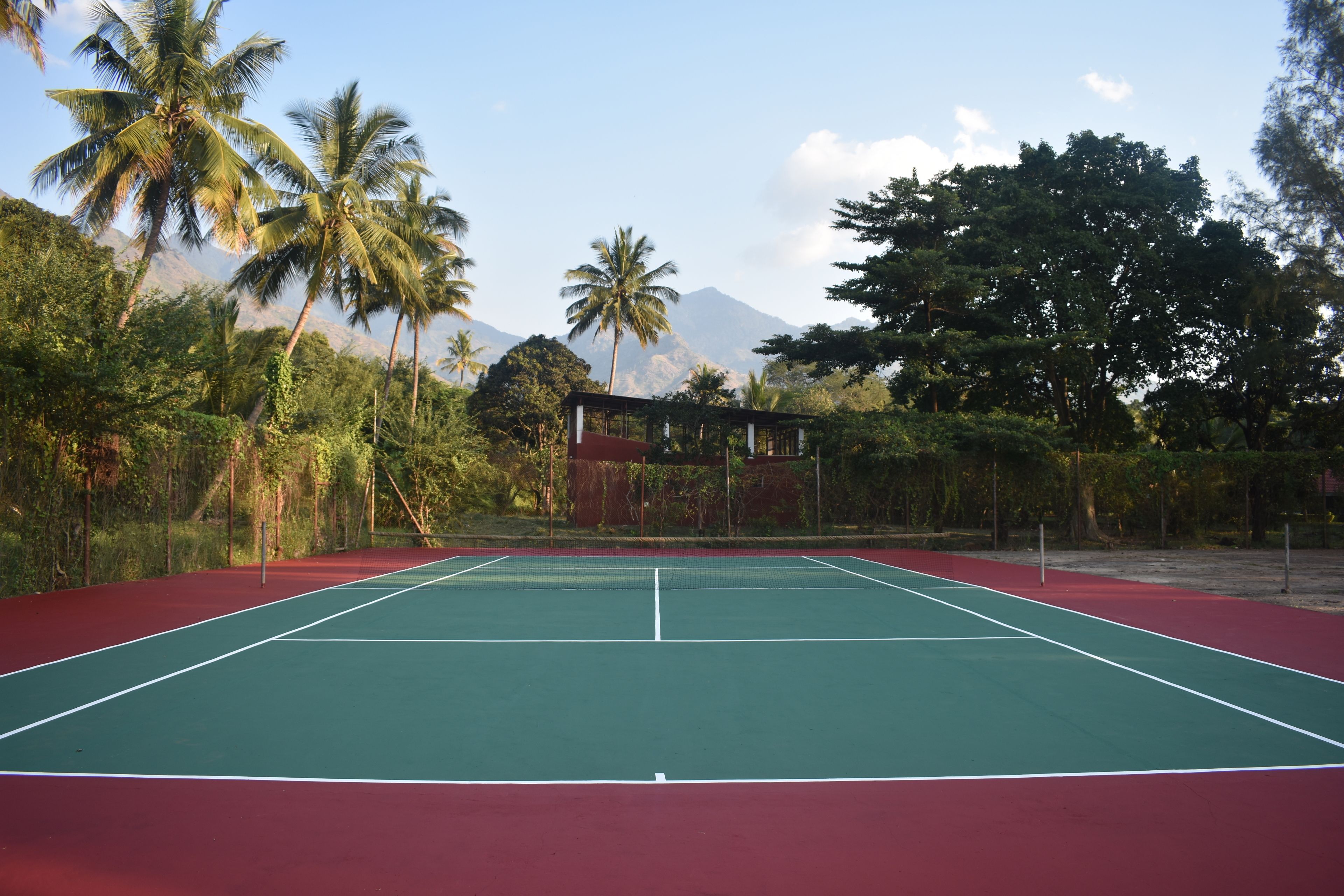 Una cancha de tenis al aire libre rodeada de exuberante vegetación y palmeras, con una montaña al fondo.