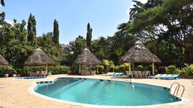 A swimming pool with a stone deck, surrounded by lounge chairs and thatched umbrellas.