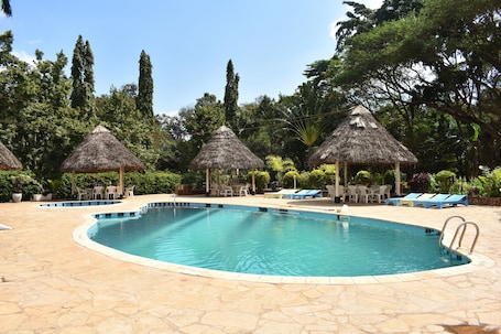 Outdoor pool, sun loungers