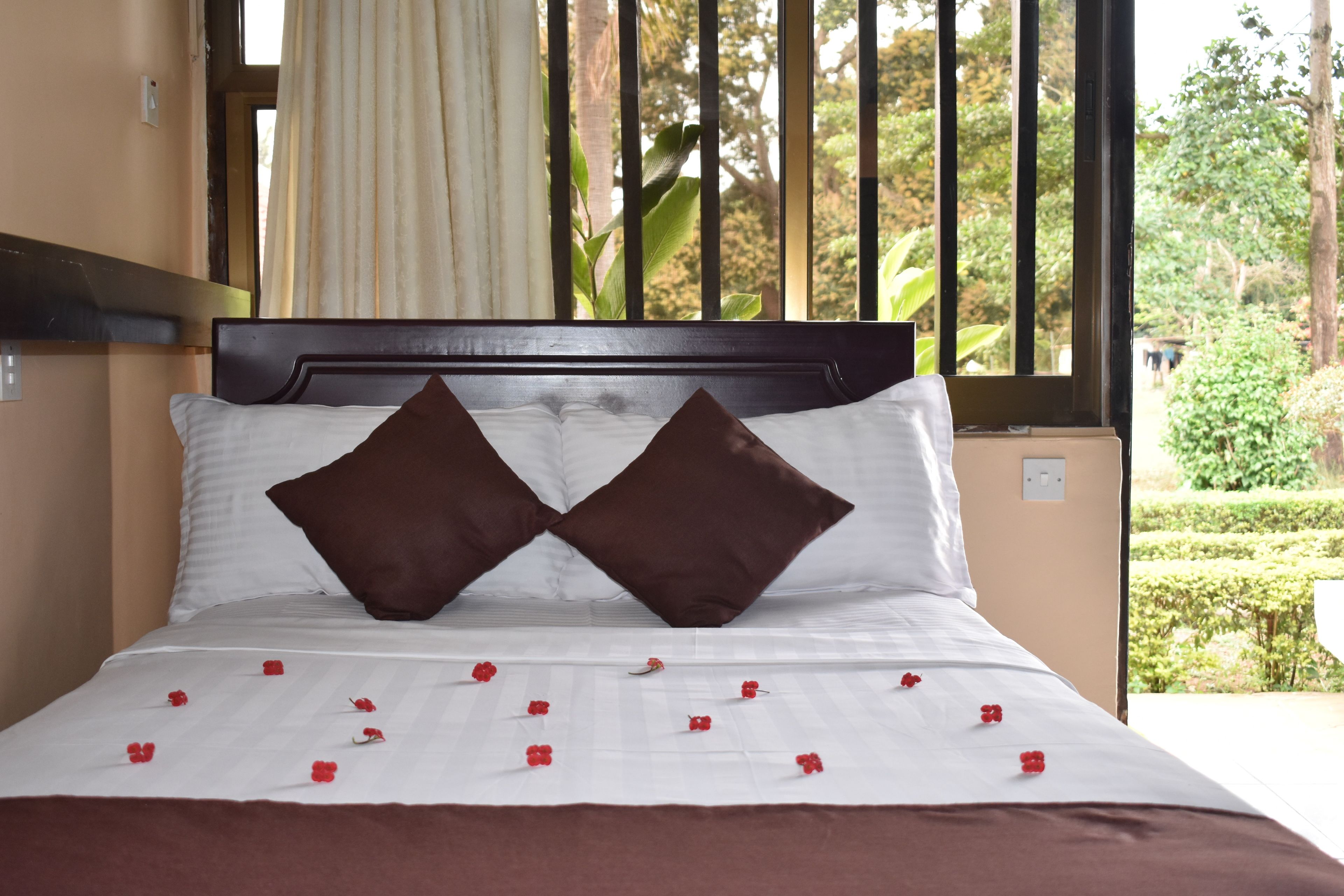 Standard-Einzelzimmer | Hochwertige Bettwaren, Minibar, Zimmersafe, Schreibtisch